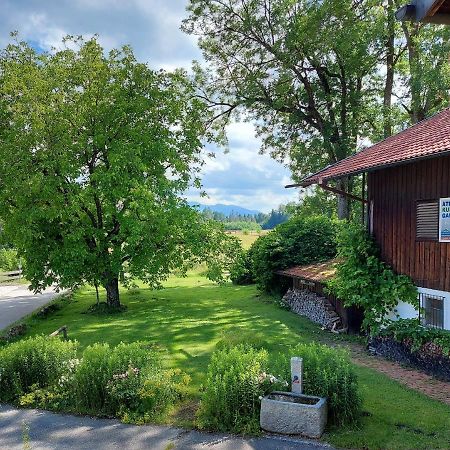 Marxhof Seebruck Am Chiemsee 西奥-西布鲁克 外观 照片