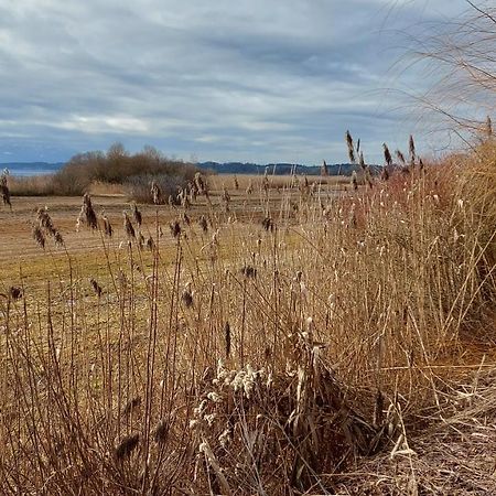 Marxhof Seebruck Am Chiemsee 西奥-西布鲁克 外观 照片